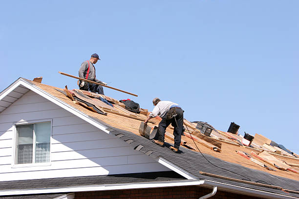 Fast & Reliable Emergency Roof Repairs in Webster Groves, MO